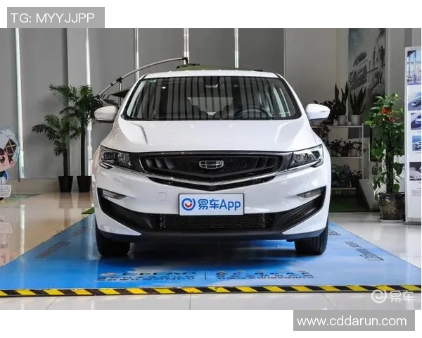 国王与老鹰的对决：荣耀与智慧的巅峰较量